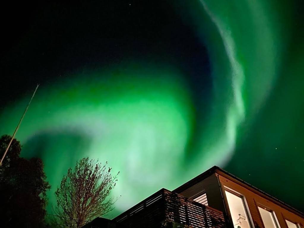 Waterfront Senja Apartment Torsken Exterior photo