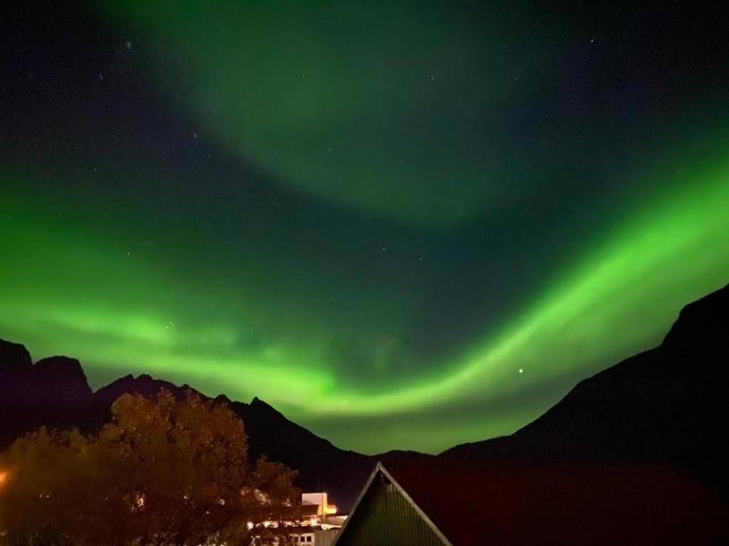Waterfront Senja Apartment Torsken Exterior photo